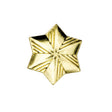 Girl Scouts Girl Scout Membership Star