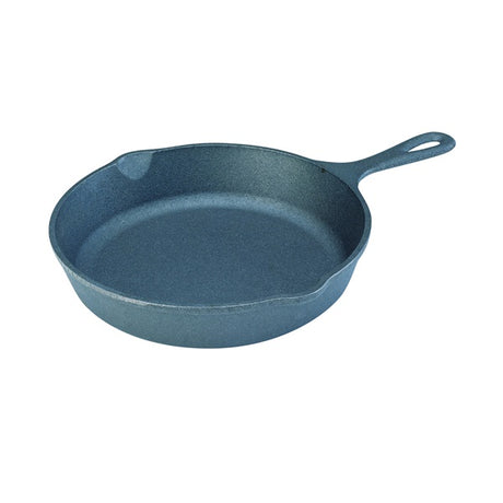 Lodge Seasoned Skillet