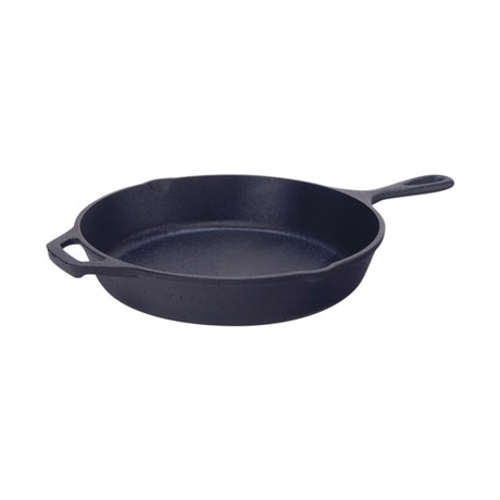 Lodge Seasoned Skillet