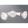 Eaton Lighting Twin Head Flood Light White