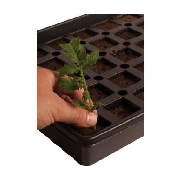 Jump Start Cutting Tray