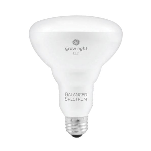 GE LED Bulb