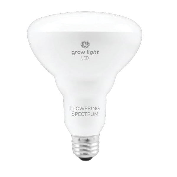 GE LED Bulb