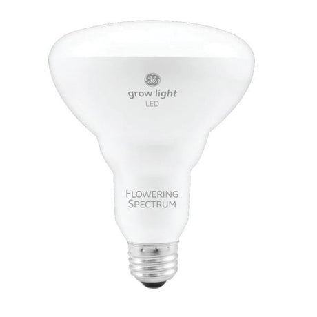 GE LED Bulb