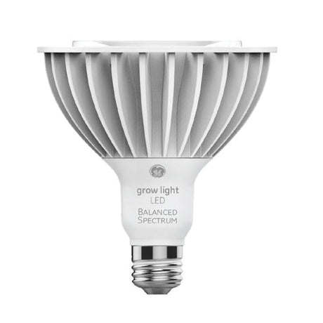 GE LED Bulb