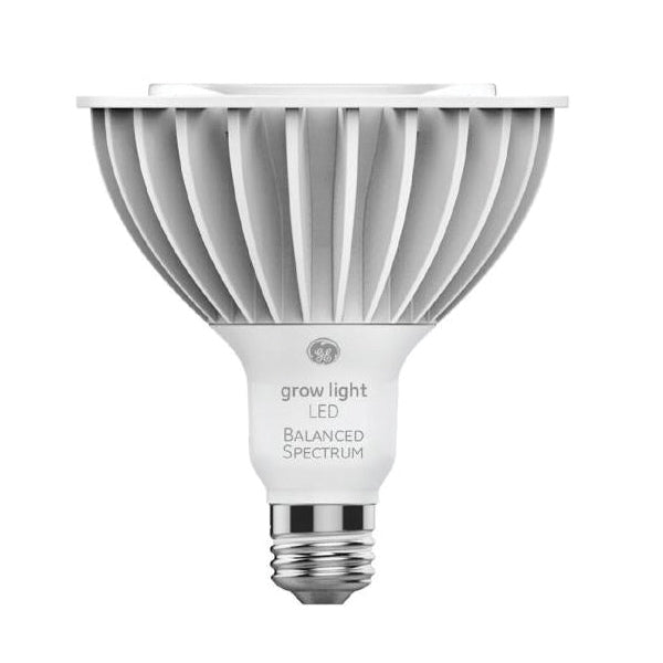 GE LED Bulb