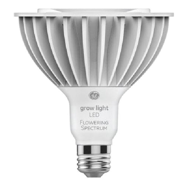 GE LED Bulb