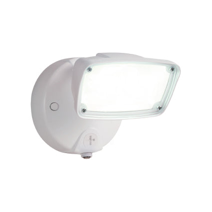 Eaton Lighting Flood Light