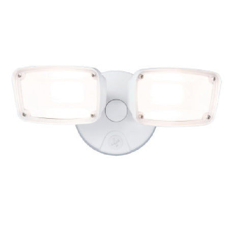 Eaton Lighting Flood Light