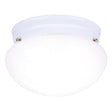 Westinghouse Ceiling Light Fixture White
