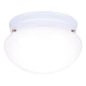 Westinghouse Ceiling Light Fixture White