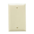 Pass & Seymour Blank Wallplate 1G