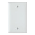 Pass & Seymour Blank Wallplate White / 1G