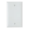 Pass & Seymour Blank Wallplate White / 1G