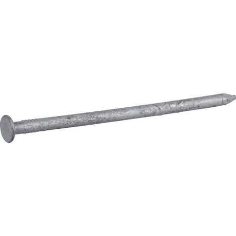 Fas-n-Tite Nail 20d /  / 5LB