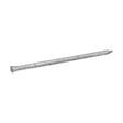 Fas-n-Tite Casing Nail / 1LB