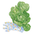 Botanical Interests Little Gem Romaine Lettuce Seed