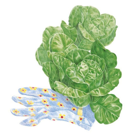 Botanical Interests Little Gem Romaine Lettuce Seed