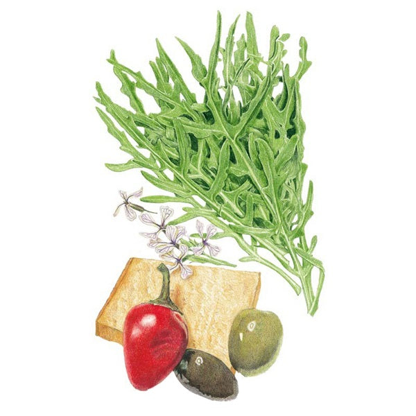 Botanical Interests Arugula Wild Rocket Seed