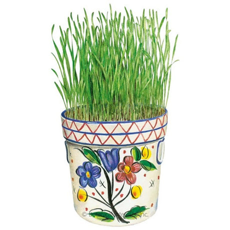 Botanical Interests Liquid Sunshine Wheatgrass Seed