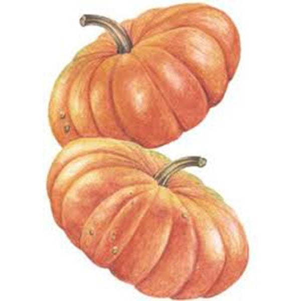 Botanical Interests Pumpkin Seed