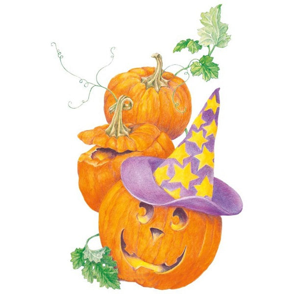 Botanical Interests Howden Pumpkin Seed