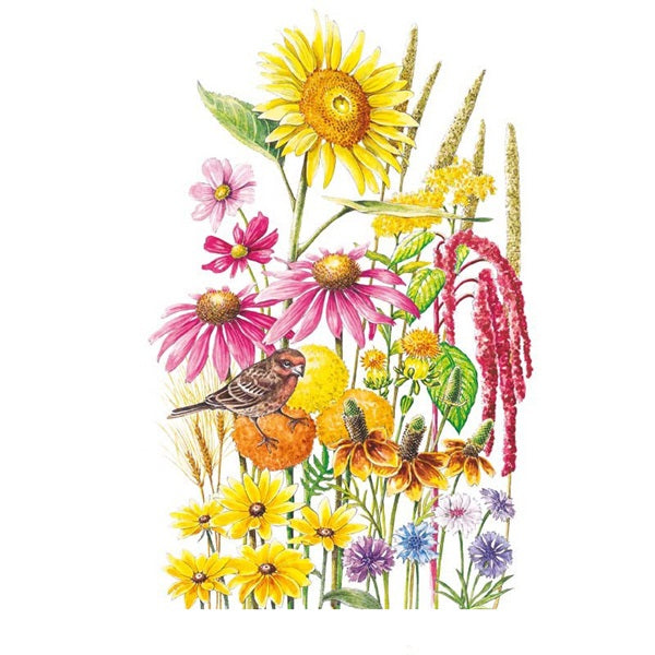 Botanical Interests Flower Seed