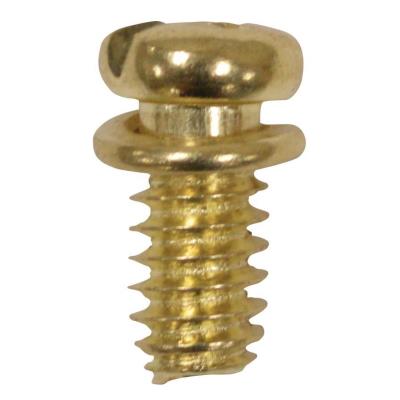 Westinghouse Motor Screw Kit