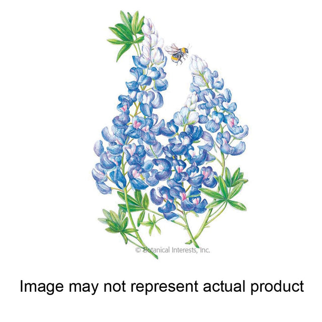 Botanical Interests Flower Seed