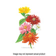 Botanical Interests Flower Seed
