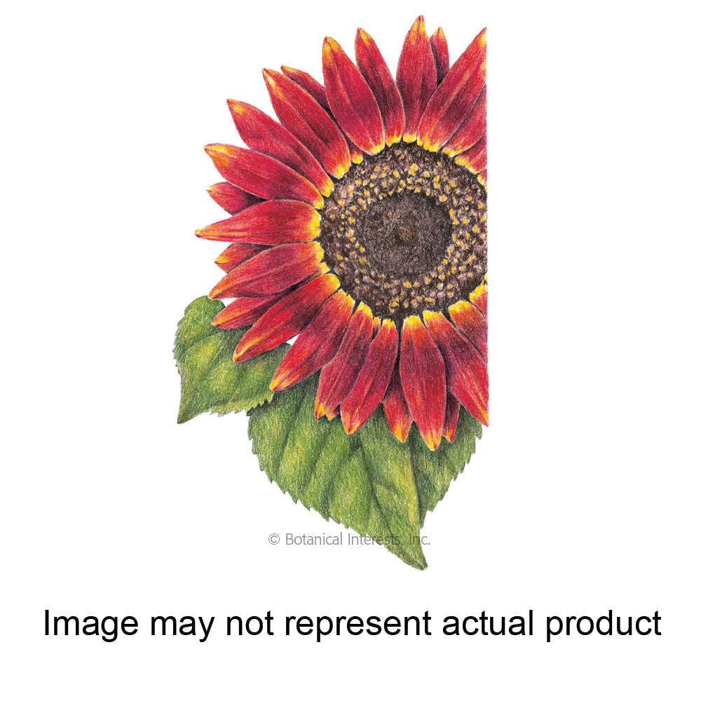 Botanical Interests Flower Seed