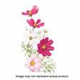 Botanical Interests Flower Seed