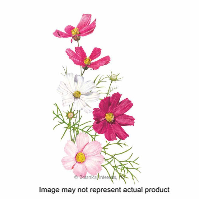 Botanical Interests Flower Seed