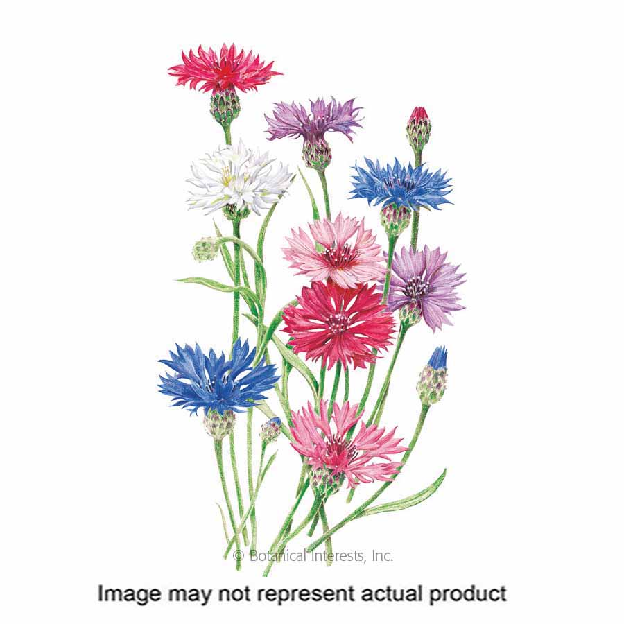 Botanical Interests Flower Seed