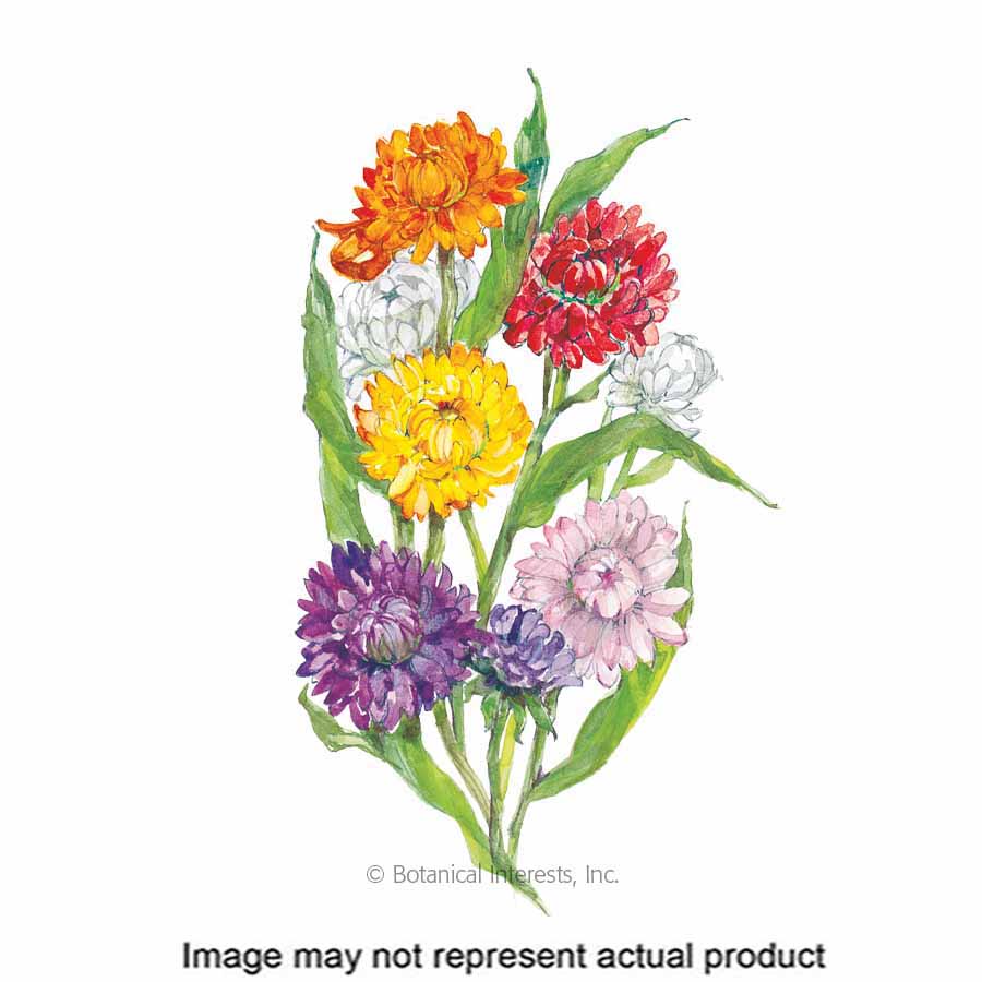 Botanical Interests Flower Seed