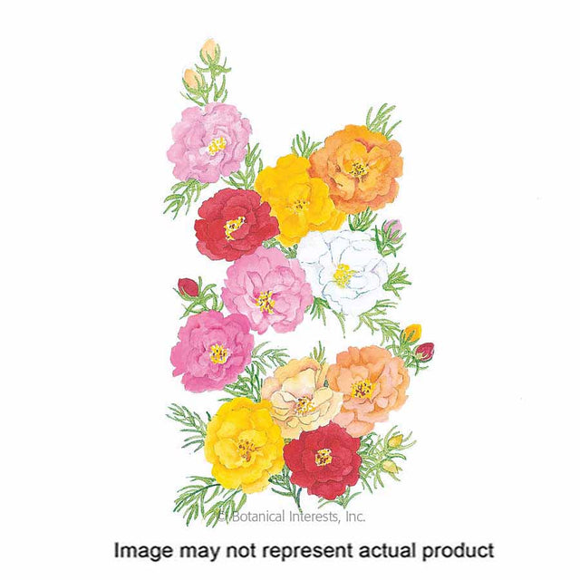 Botanical Interests Flower Seed