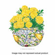 Botanical Interests Flower Seed