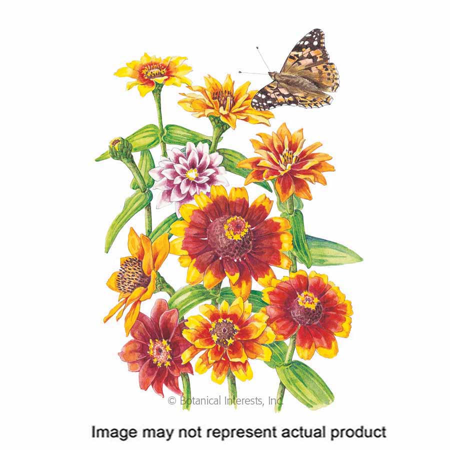 Botanical Interests Flower Seed