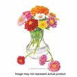 Botanical Interests Flower Seed