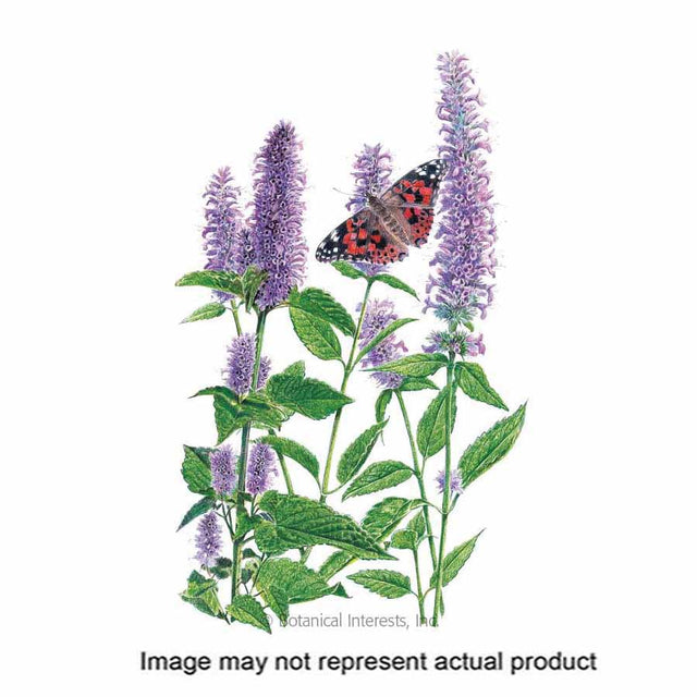 Botanical Interests Flower Seed