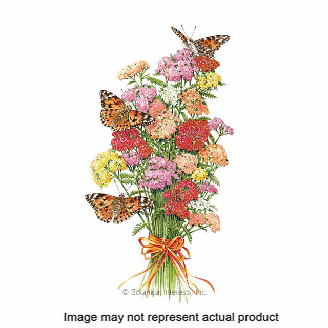Botanical Interests Flower Seed