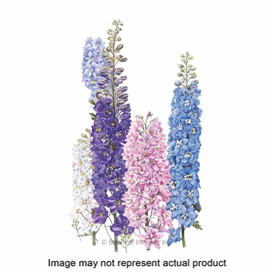 Botanical Interests Flower Seed