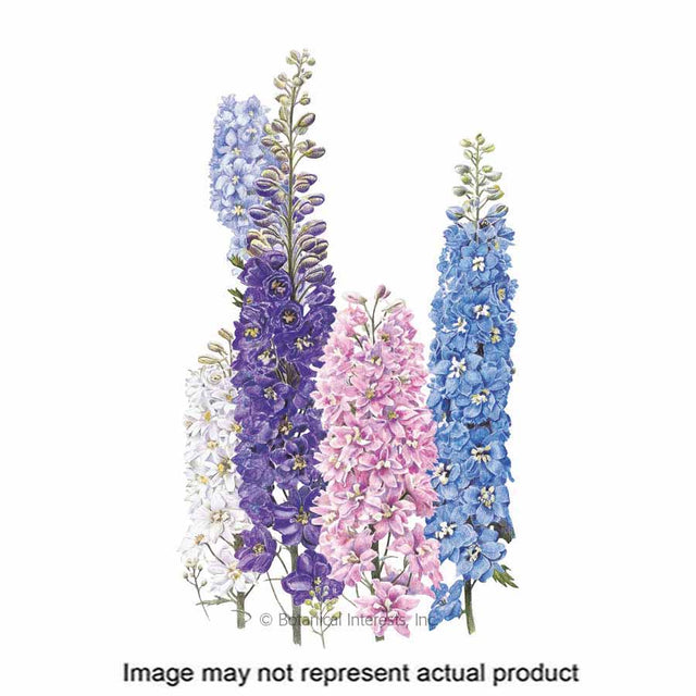 Botanical Interests Flower Seed