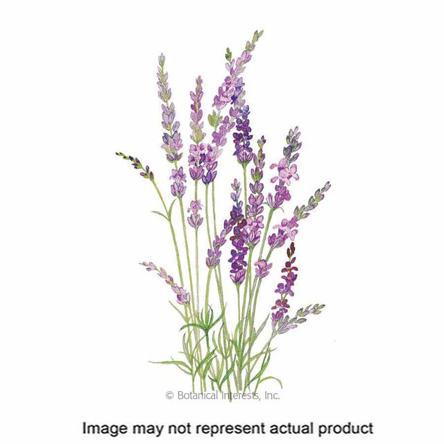 Botanical Interests Flower Seed