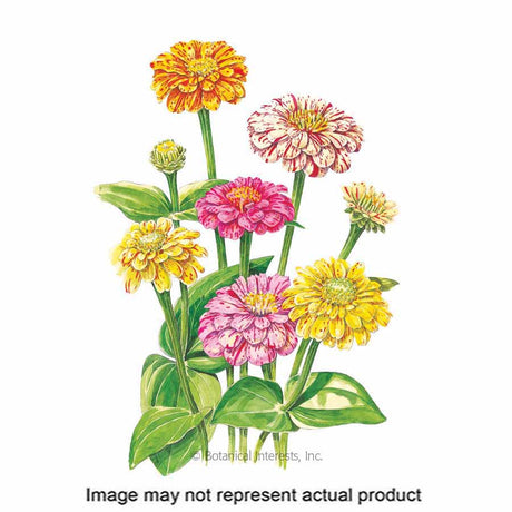 Botanical Interests Flower Seed