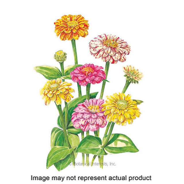 Botanical Interests Flower Seed
