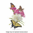 Botanical Interests Flower Seed
