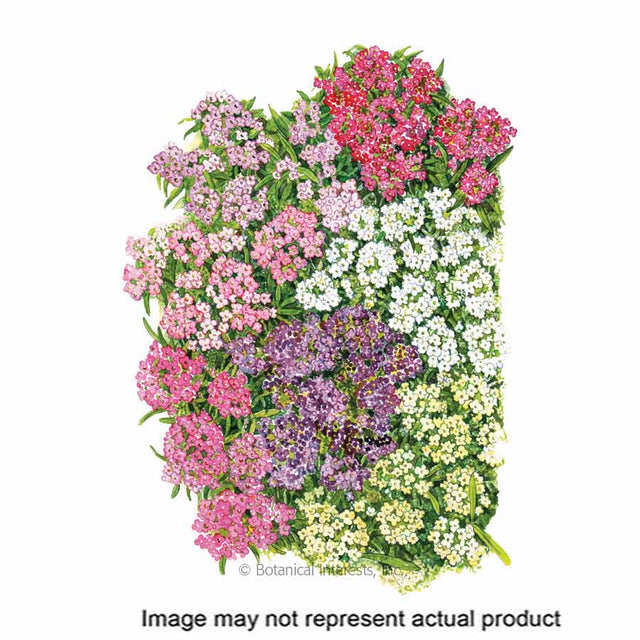 Botanical Interests Flower Seed