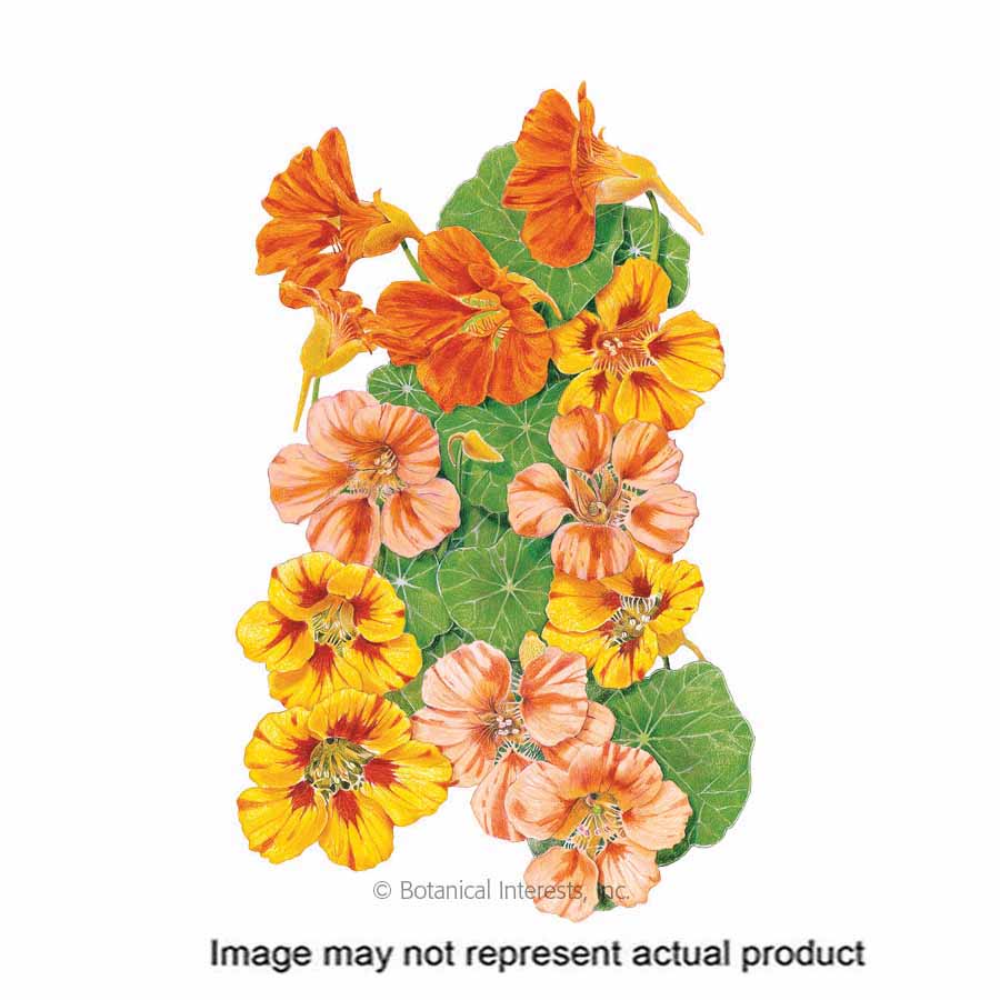Botanical Interests Flower Seed