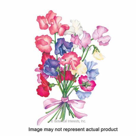 Botanical Interests Flower Seed